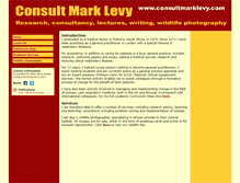 Tablet Screenshot of consultmarklevy.com